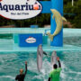 Anuncian el cierre del Aquarium de Mar del Plata y hay cerca de 200 empleos en riesgo