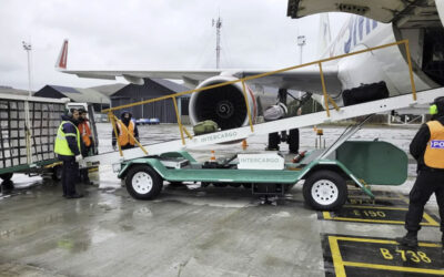 El Gobierno autorizó la privatización total de Intercargo y reactiva un frente de conflicto con los aeronáuticos