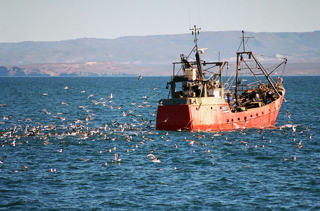 Un producto estrella de Chubut consiguió un reconocimiento internacional clave para abrir nuevos mercados
