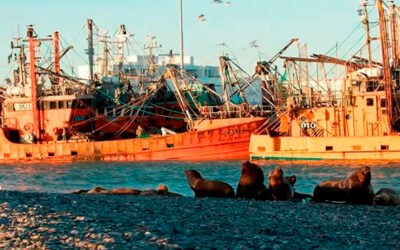 Crisis en el sector pesquero: empresas dicen que no pueden afrontar salarios y paralizaron la actividad