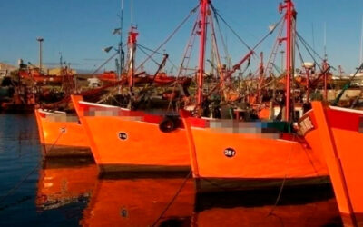 Despidieron a 7 trabajadores de una empresa pesquera sin motivos y denunciaron «represalias»