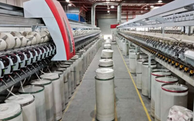Debacle textil: Tradicionales firmas cierran, despiden y se van por las nuevas reglas de apertura de importaciones de Milei