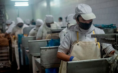 Tras 50 años de historia, una reconocida fábrica de pescado enlatado cerró sus puertas de forma definitiva