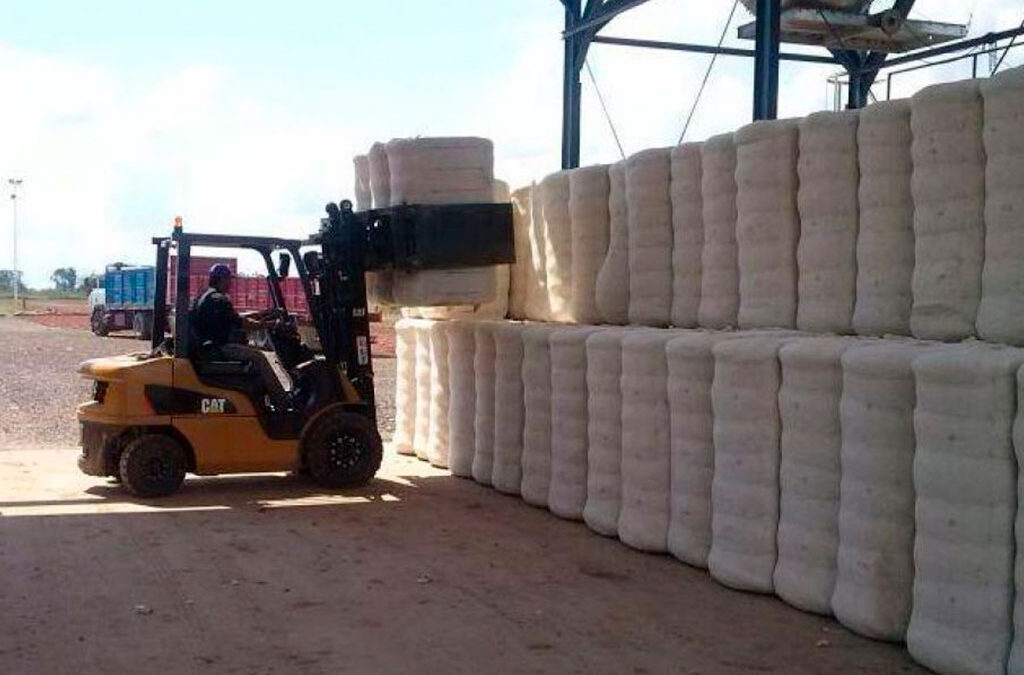 Tras otra frustración paritaria, los desmotadores de algodón van a un paro en todas las plantas del país desde las 00:00 de este martes