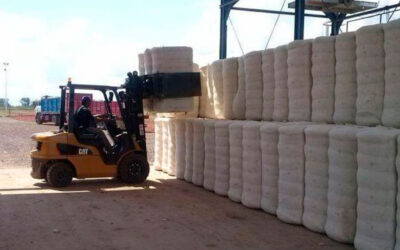 Tras otra frustración paritaria, los desmotadores de algodón van a un paro en todas las plantas del país desde las 00:00 de este martes