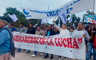 Conflicto social en puerta: Ledesma paga el 60% del sueldo y anticipan más despidos