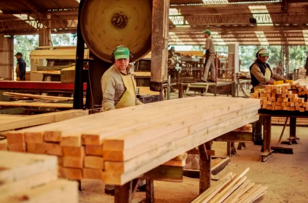 Empleo en crisis: Una forestadora de Corrientes suspenderá a 200 trabajadores y hay riesgo de despidos masivos