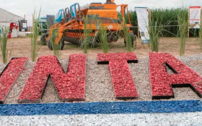 Alarma en el INTA: temen 800 despidos inminentes y el vaciamiento del organismo de tecnología agropecuaria