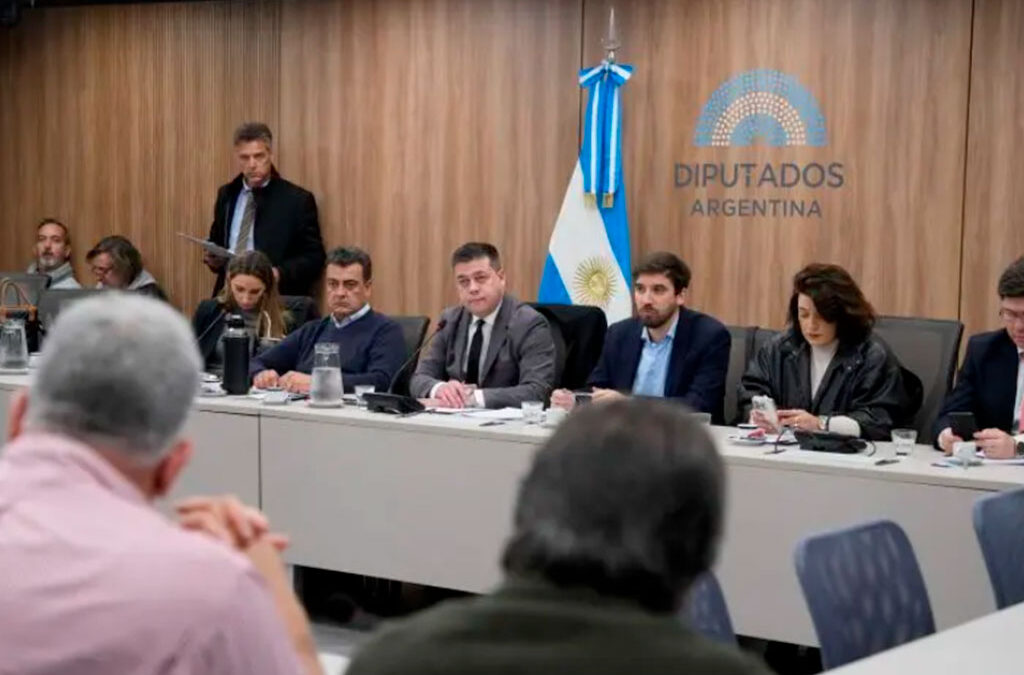 La Marina Mercante en debate: gremios y referentes del sector naval analizaron el DNU 340/25 en el Congreso