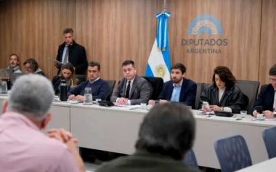 La Marina Mercante en debate: gremios y referentes del sector naval analizaron el DNU 340/25 en el Congreso