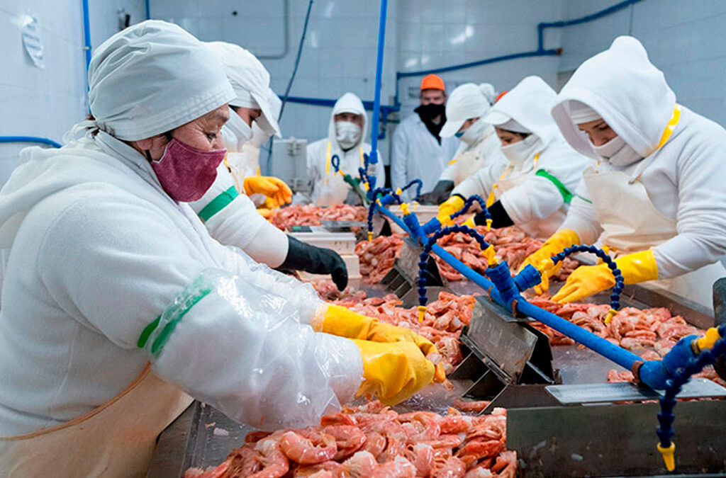 Crisis en el Puerto de Mar del Plata: denuncian que 200 empleados dejaron sus trabajos en la industria del pescado por la caída de la actividad