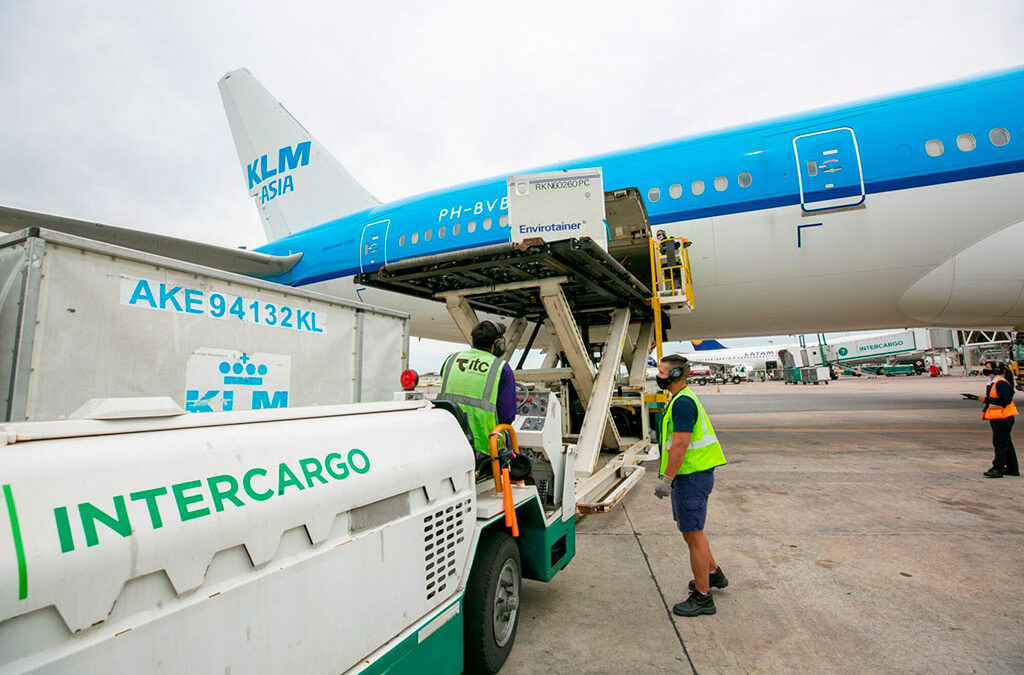 El gremio de aeronáuticos APA presentó un amparo para frenar la venta de Intercargo: «Están intentando privatizar una empresa rentable sin saber cuánto vale»