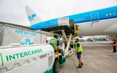 El gremio de aeronáuticos APA presentó un amparo para frenar la venta de Intercargo: «Están intentando privatizar una empresa rentable sin saber cuánto vale»