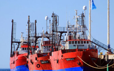 Por amenazas del SOMU, suspenden salida de barcos congeladores tangoneros