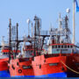 Por amenazas del SOMU, suspenden salida de barcos congeladores tangoneros