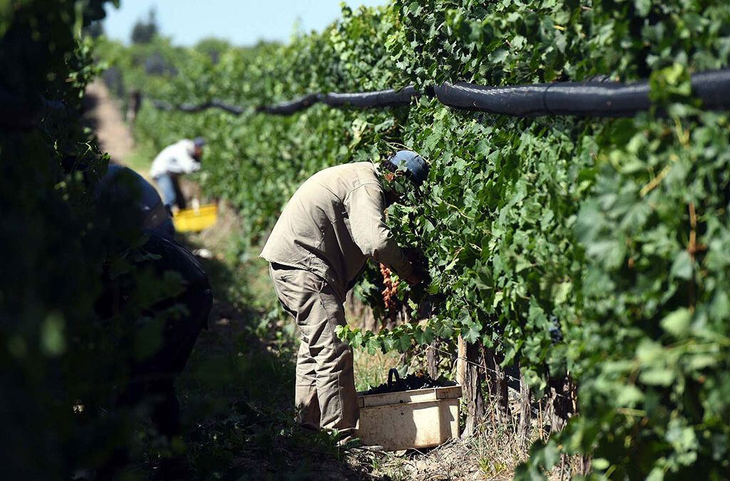 UATRE logra nuevo acuerdo salarial para peones rurales: a cuánto se irá el sueldo mínimo