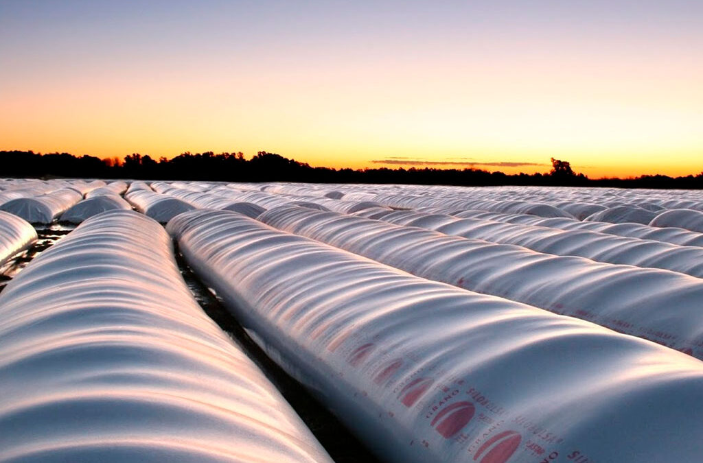 El agro se guarda soja y maíz por US$ 17.600 millones