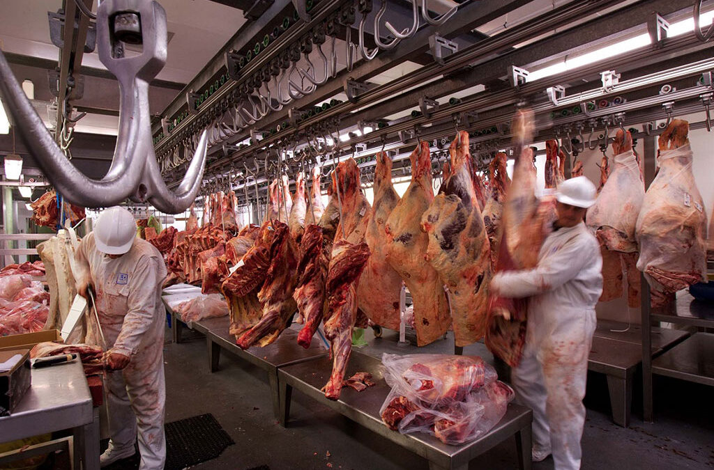 Crisis en los frigoríficos argentinos: Estiman 2.000 empleos en riesgo por caída del consumo, de las exportaciones y aumento de costos