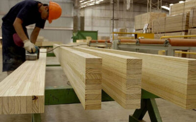 La Forestadora Tapebicuá anunció la paralización total de su producción por 30 días en Virasoro y suspende a 520 operarios