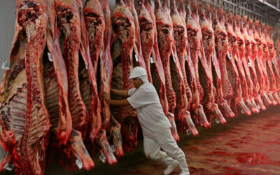 Paritarias de la Carne: subas hasta octubre y suma fija trimestral