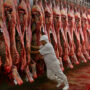 Paritarias de la Carne: subas hasta octubre y suma fija trimestral