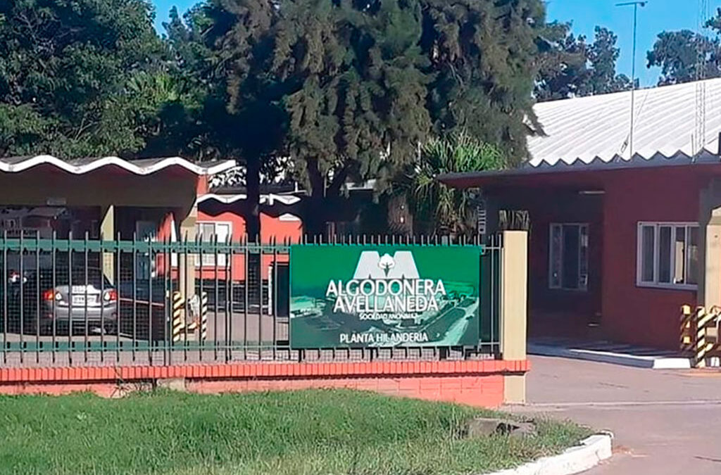 La algodonera más grande del norte santafesino, propiedad de Vicentin, pagará la quincena en cuotas