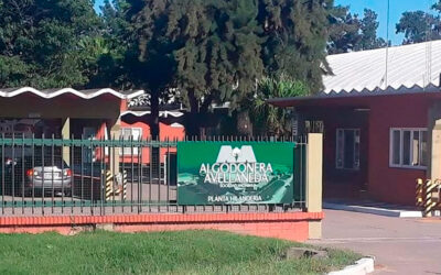 La algodonera más grande del norte santafesino, propiedad de Vicentin, pagará la quincena en cuotas