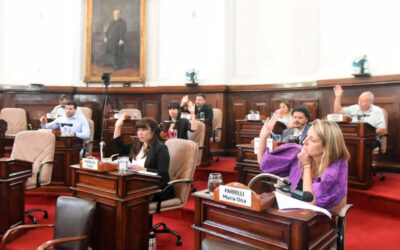 Con impulso gremial, el Concejo de La Plata expresó su «preocupación» por las denuncias de coimas en la ANDIS