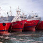 La actividad en la Pesca cayó casi 75% interanual y hay más de 5.000 empleos en riesgo