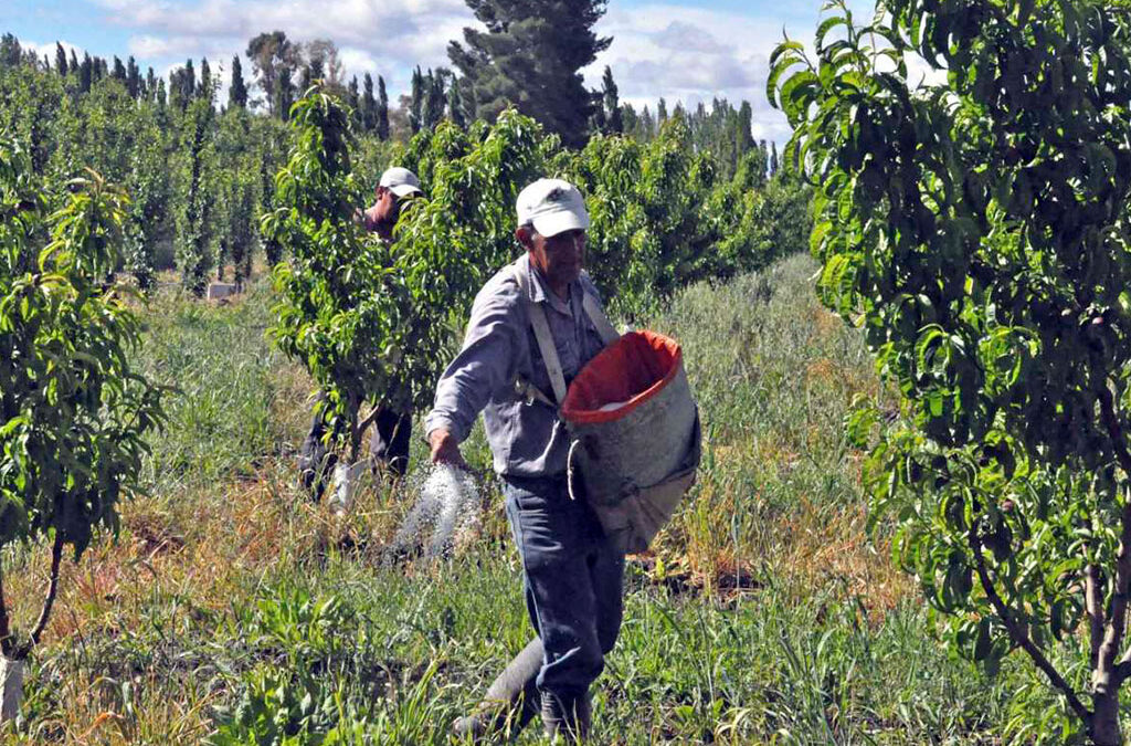 El Ministerio de Salud dio de baja a la Obra Social del Personal Frutícola: Es la séptima que cae y hay otras ocho intervenidas