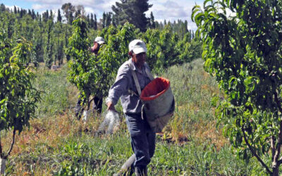 El Ministerio de Salud dio de baja a la Obra Social del Personal Frutícola: Es la séptima que cae y hay otras ocho intervenidas