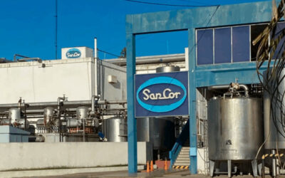 Qué puede pasar con Sancor tras el pedido de quiebra presentado por sus propios trabajadores