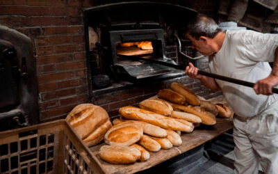 Panaderos desmienten cierres masivos y advierten sobre el verdadero problema: la precarización laboral