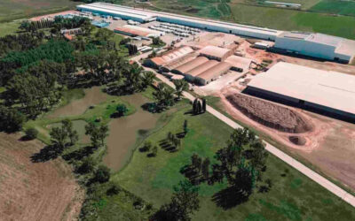 Crisis en la industria: Alerta en Cerámica Cortines por 65 nuevos despidos