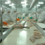 Trabajo dictó conciliación obligatoria y frenó el paro del Sindicato de la Alimentación