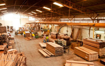 La industria maderera en la crisis más profunda en décadas