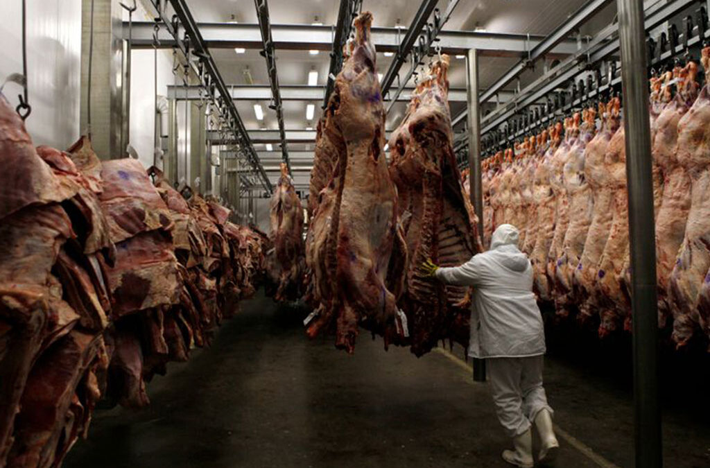 La industria frigorífica, en jaque por la recesión, el permiso de exportar ganado a pie y las importaciones