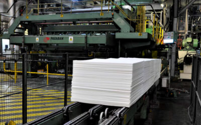 Preocupación entre los trabajadores de Celulosa Argentina: siguen sin cobrar y no hay fecha de reactivación