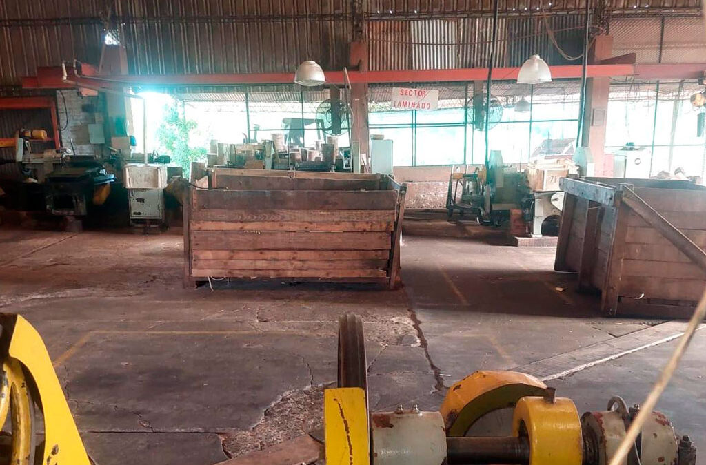 Trabajadores madereros de Industrias Montecarlo tomaron la fábrica en Eldorado: «Nos mandaron un telegrama diciendo que teníamos los sueldos al día, pero nos deben más de dos meses»