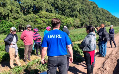 UATRE detecta que el 40% de los trabajadores rurales en Buenos Aires no está registrado