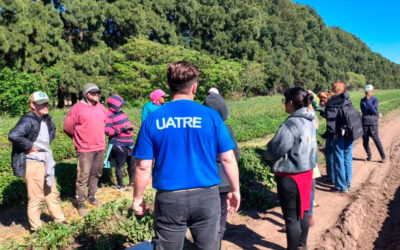 En dos días, la UATRE detectó más de 100 trabajadores rurales en condiciones irregulares