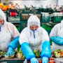 El gremio de la alimentación y el sector empresarial se verán las caras este jueves en medio de la tensión por los salarios