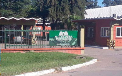 El modelo Vicentin se derrumba: trabajadores de Algodonera Avellaneda denuncian vaciamiento y salarios desdoblados