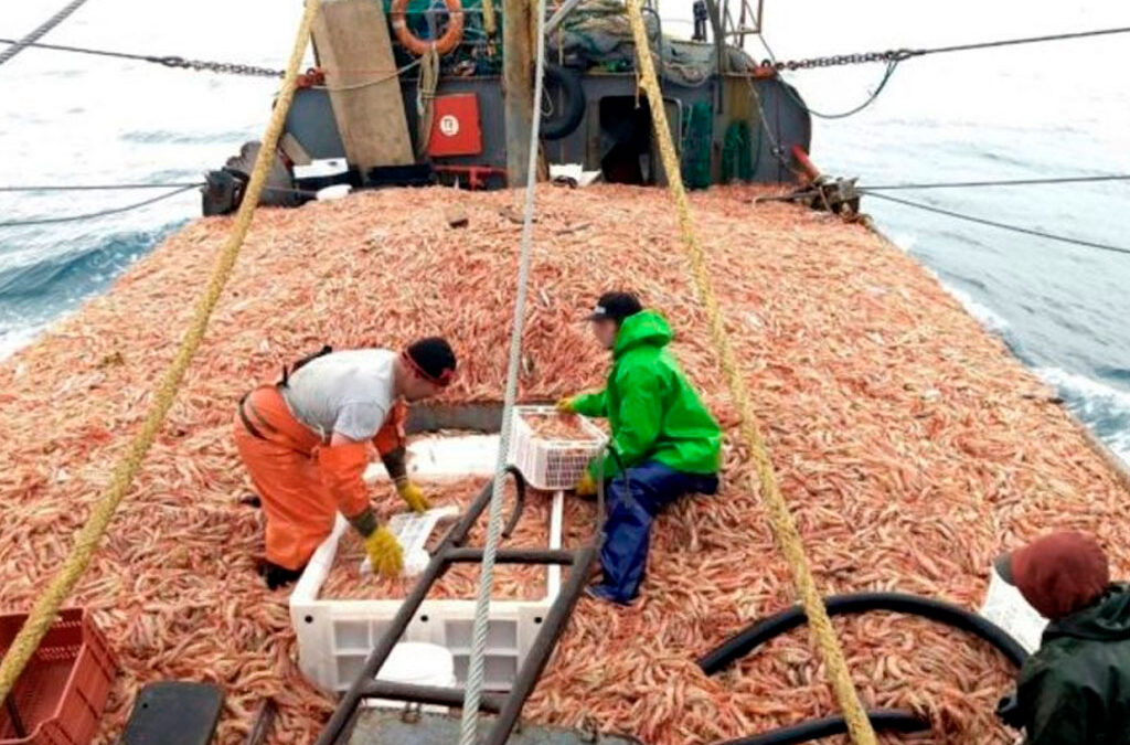 Marítimos de Rawson reclamaron un acuerdo salarial «razonable» para la pesca del langostino fresco con un valor que lleva un año sin aumento y rechazaron los acuerdo individuales
