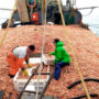 Marítimos de Rawson reclamaron un acuerdo salarial «razonable» para la pesca del langostino fresco con un valor que lleva un año sin aumento y rechazaron los acuerdo individuales