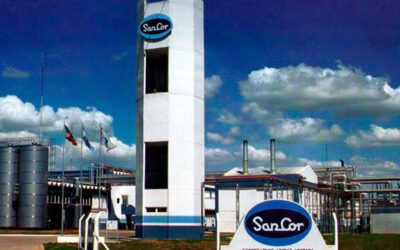 Sancor: del colapso inminente, al rescate inteligente