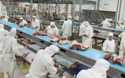Crisis en la industria: Un frigorífico reduce las horas de servicio por 3 meses para evitar despidos