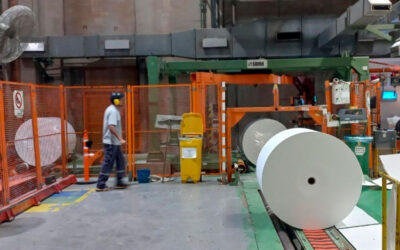 Vanesa Siley presentó en Diputados un proyecto de resolución en defensa de la industria del papel para proteger empleos y la competitividad del sector