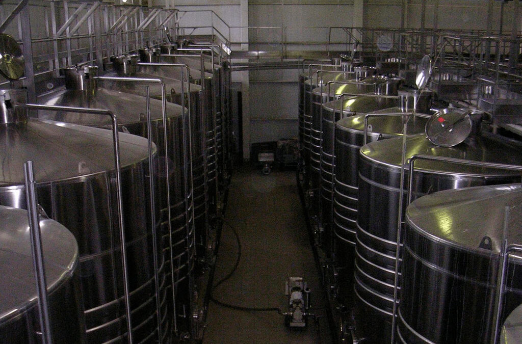 Silencio en las bodegas: la vitivinicultura reacciona con cautela a los cambios en el INV
