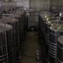 Silencio en las bodegas: la vitivinicultura reacciona con cautela a los cambios en el INV